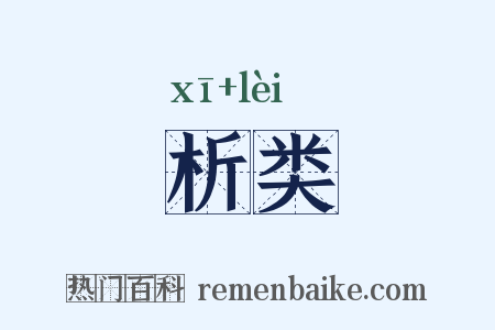 析类是什么意思的图片